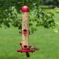 PerkyPet Bird Feeder