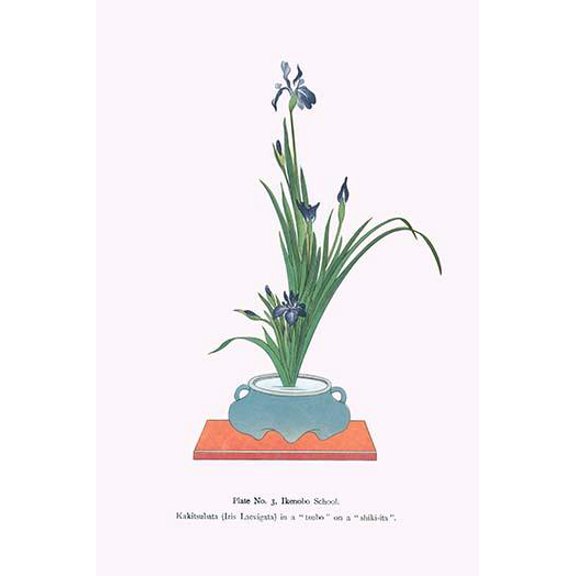 Kakitsubata (Iris Laevigata) in a Tsubo-Fine Art Canvas Print (20" x 30")