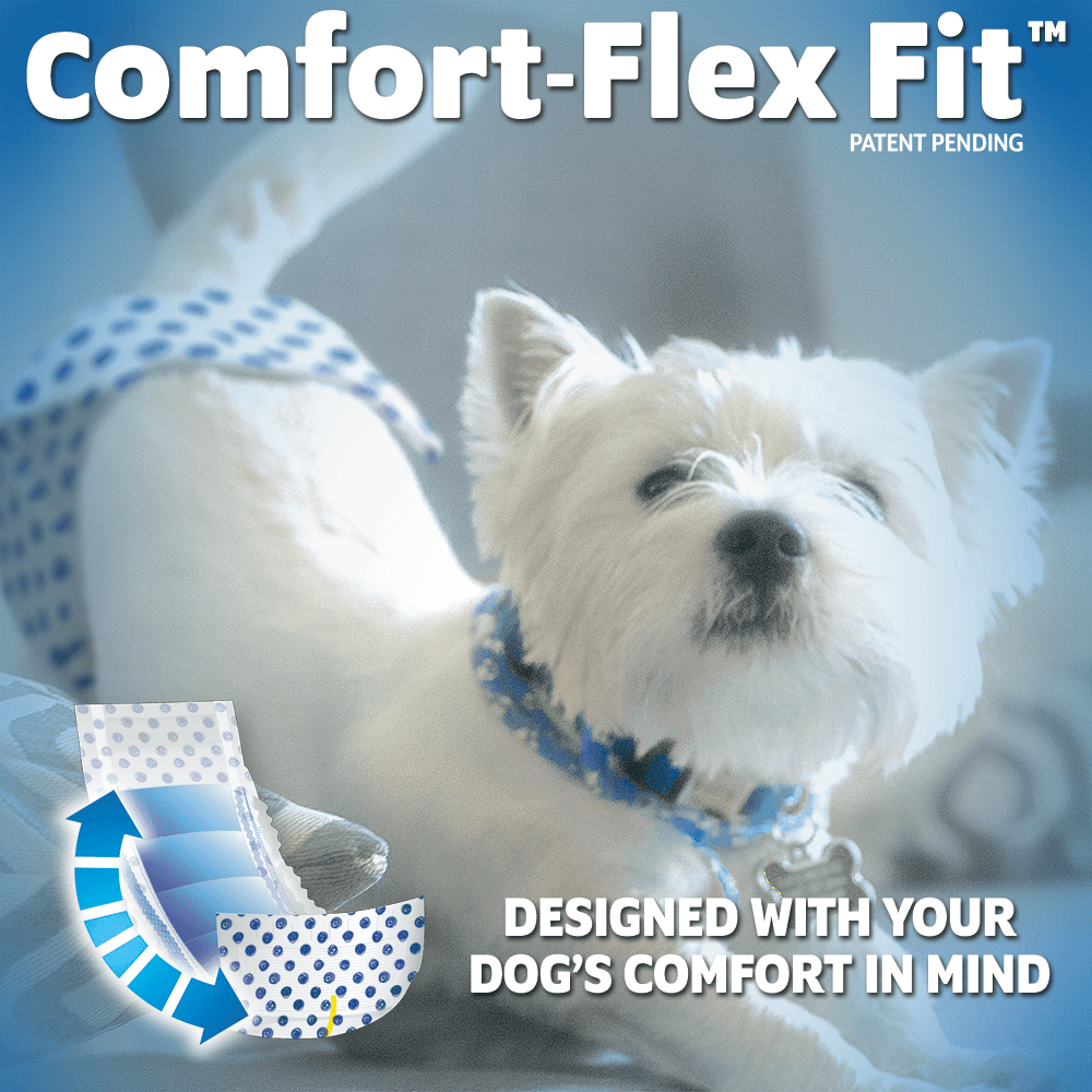 (2 pack) OUT! Petcare Disposable Male Dog Diapers, Absorbent Leak Proof Fit, XS/Small, 12 Count