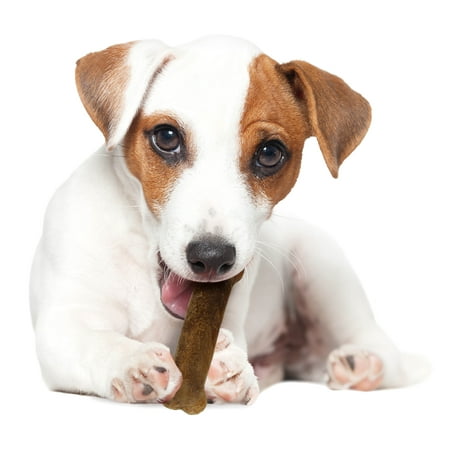 UPC: 0018214816324 | Nylabone Healthy Edibles Natural Roast Beef Flavored Dog Treats Twin Pack Regular