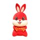 thumbnail image 1 of Dazhanhong Conejo 25 cm 2023 Año del Conejo Mascota Muñeca Regalo de Año Nuevo Peluche Muñeca de Trapo Muñeca ANGGREK  Otros, 1 of 8
