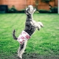 thumbnail image 4 of 1 Pack Reusable Cloth Diapers For Dogs, Highly Absorbent Dog Physiological Pants Sanitary Diaper Prevention Of Harassment Of Animals Physiological Pan, 4 of 4