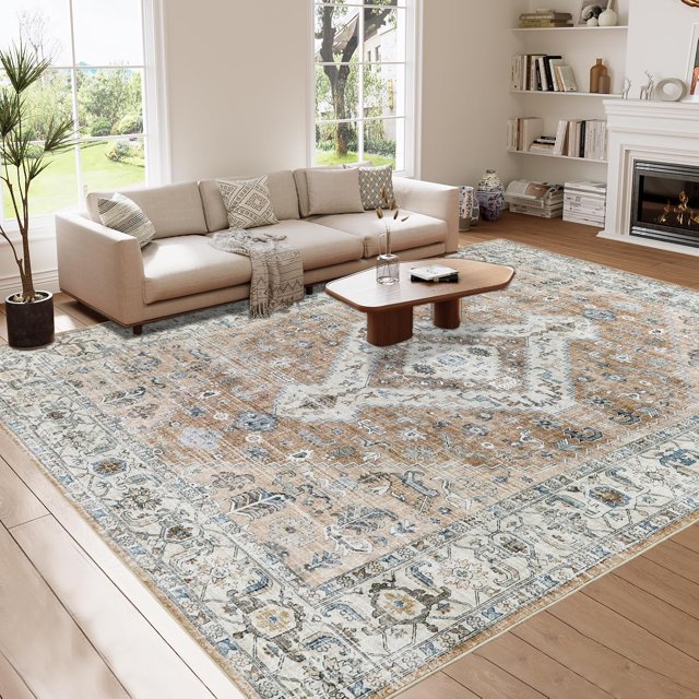 Vintage Area Rug x Washable Living Room Rug Indoor Print Accent Rugs for Bedroom Distressed Thin Throw Rugs Carpet for Living Room Kitchen Entryway