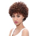 thumbnail image 1 of Short Fluffy African Wig Small Curly Hair, 1 of 4