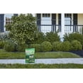 thumbnail image 4 of Scotts Green Max Lawn Food Fertilizer, 4 of 4