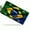 Brazilian Flag, variant on Blue Butterfly with Floral Accents Front License Plate, Metal License Plate, Funny Standard Plates Personalized Novelty Decorative For Men/Women/Boys/Girls Car 6×12 Inch