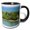Black/White, variant on 3drose, Image of Passing a Small Island on Way to Aruba, 11oz Two-tone Green Mug