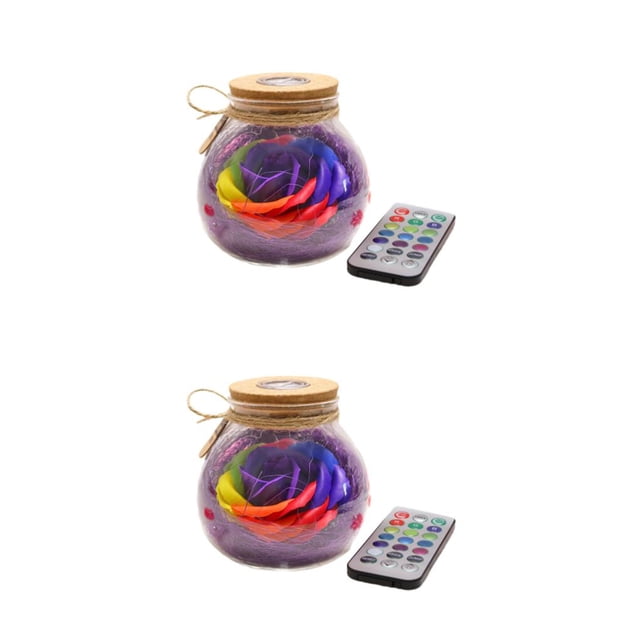 Moyic Rosas reales preservadas respetuosas con el medio ambiente en tanque de flores de vidrio botella LED de larga duración color púrpura Púrpura 3.94*4.33*4.33 pulgadas 2Conjunto