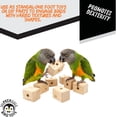 thumbnail image 6 of Impeckable Bird Toys Toy 3015 Small Chunky Block 6-Pack, Natural Spruce and Pine Wood, Heavy Chewing Foraging Foot Toy, Handcrafted by Us for Medium Birds Like Conures, Caiques, and Senegals, 6 of 10