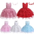 thumbnail image 2 of Niños tul tutú fiesta de cumpleaños vestido de princesa para niñas bebés encaje Floral niños ropa boda graduación elegante disfraz 5T (etiqueta 120) Gao Jinjia LED, 2 of 2