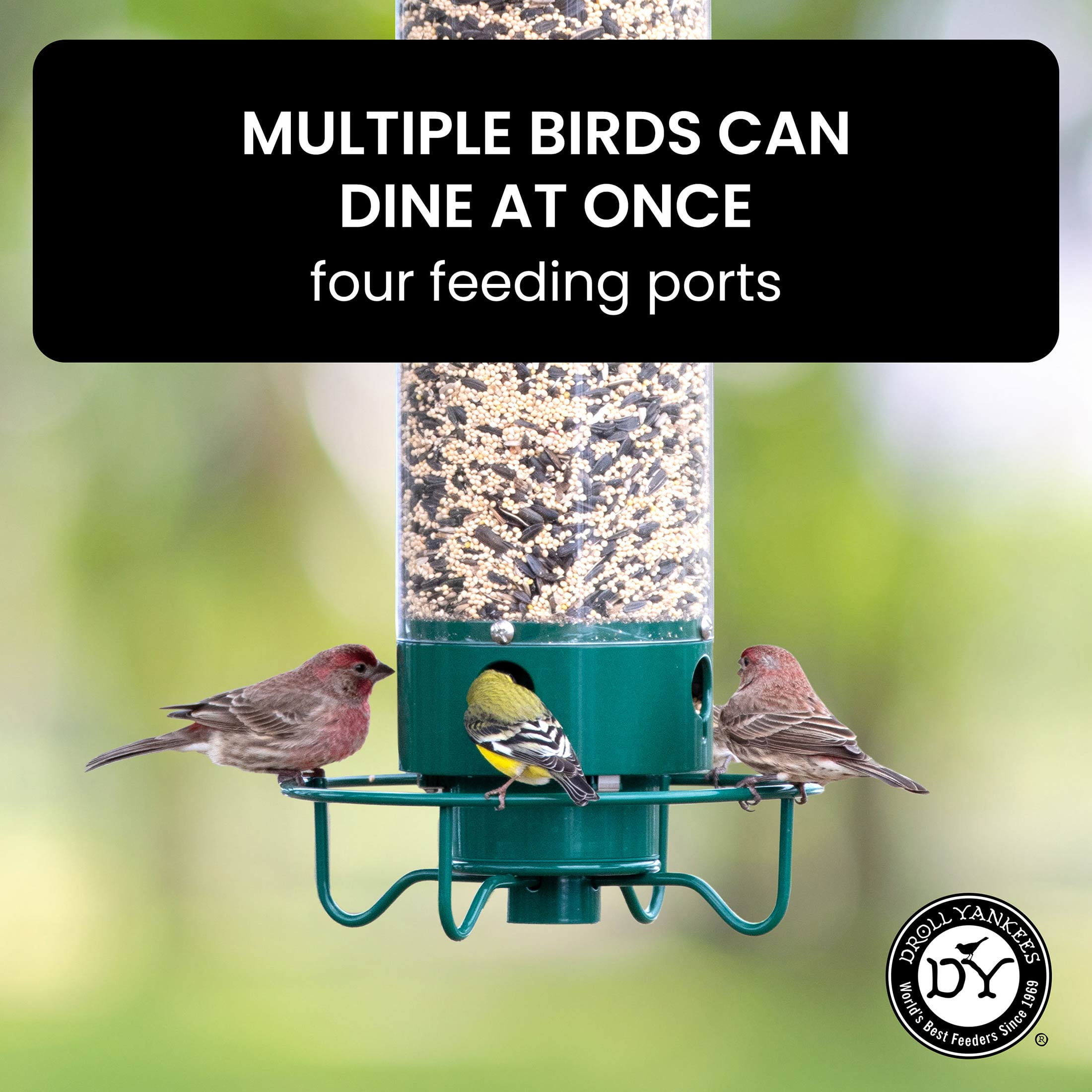 Droll Yankees Squirrel Proof Bird Feeders for Outdoors - YF-M - Flipper, Collapsible Perches, 5-Pound Seed Capacity, Green