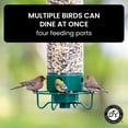 thumbnail image 6 of Droll Yankees Squirrel Proof Bird Feeders for Outdoors - YF-M - Flipper, Collapsible Perches, 5-Pound Seed Capacity, Green, 6 of 16