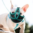 thumbnail image 5 of KYAIGUO Dog Muzzle for Small Medium Large Dogs Prevent Biting Chewing and Licking No Bite Muzzle for Dogs No Bark for Dogs That Eat Everything, 5 of 8