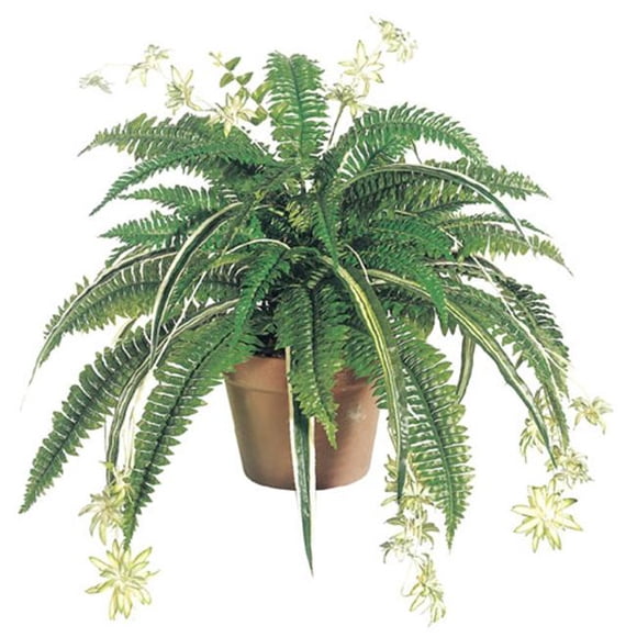 Plante de Fougère de Boston en Soie Mélangée 32 Pouces x48 - Vert - Quantité de 6