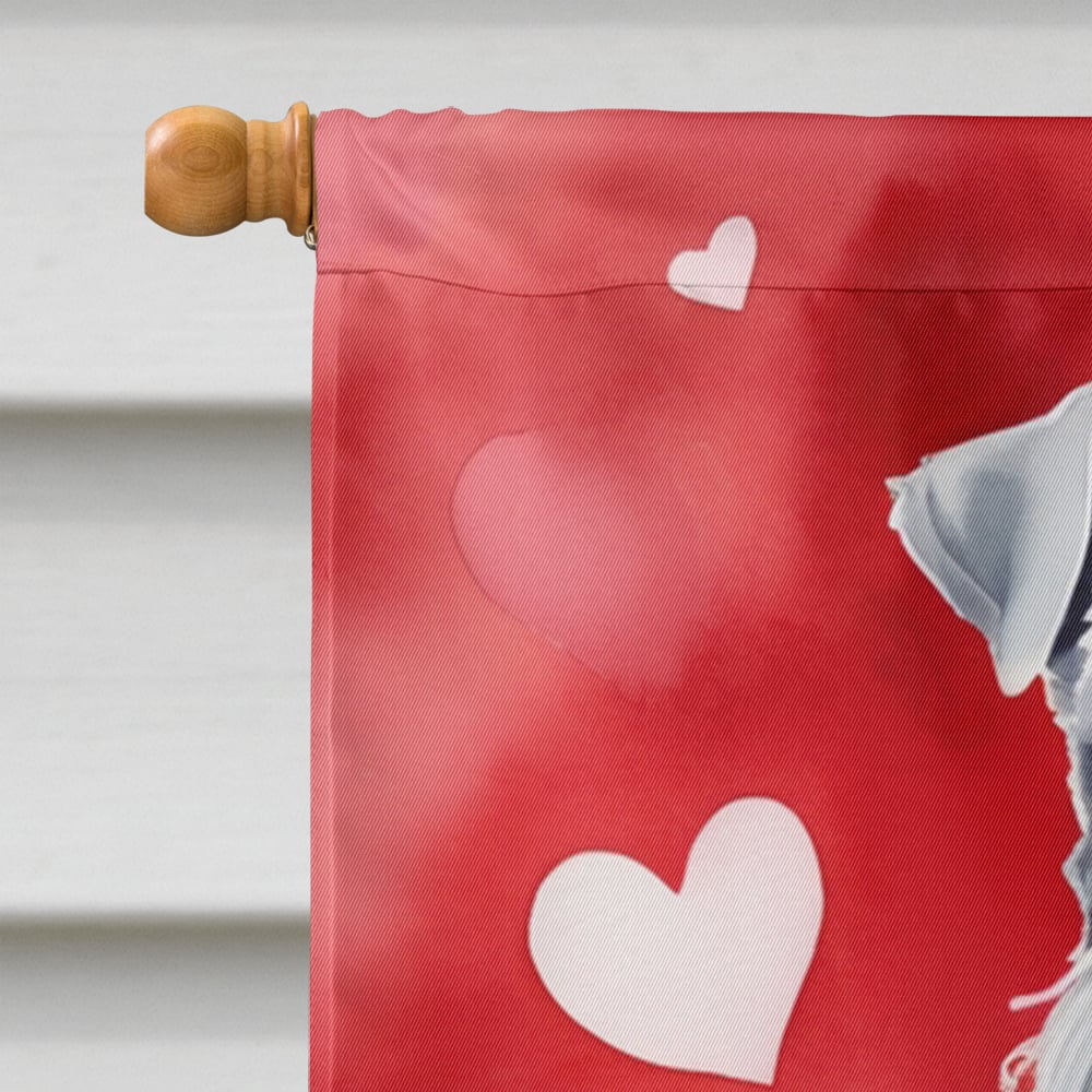 Kerry Blue Terrier My Valentine House Flag 28 in x 40 in