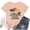 Peach, variant on Magical Shirt for Women Magic Kingdom T Shirt Cute Castle Graphic Tee Family Holiday Vacation Short Sleeve Tops