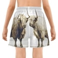 thumbnail image 5 of joogoo Highland Cattle Boys Swim Trunks Beach Swimsuit Shorts Boxer 4T, 5 of 8