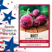 Detroit Dark Red Beet Seeds