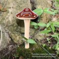 thumbnail image 3 of 4pcs Ceramic Toadstools For The Garden Tinkling Mushrooms Garden Ornaments Decor, 3 of 4