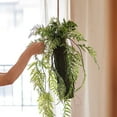 thumbnail image 3 of Artificial Fern Hanging Ball Decoration, 3 of 6