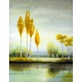 thumbnail image 2 of Marcon, Michael 12x14 Black Ornate Wood Framed with Double Matting Museum Art Print Titled - September Calm I, 2 of 4