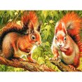 thumbnail image 1 of 5D DIY Diamond Painting Kits Full Square Drill Ardillas Mosaico Craft (ZQF8732) Sywqhk Decoración hogareña, 1 of 9