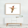 thumbnail image 6 of Male Ruby-Throated Hummingbird - Photography Bird Wildlife Nature Animal Minimalist Insect Unframed Wall Art Print 40 x 60 inches, 6 of 7
