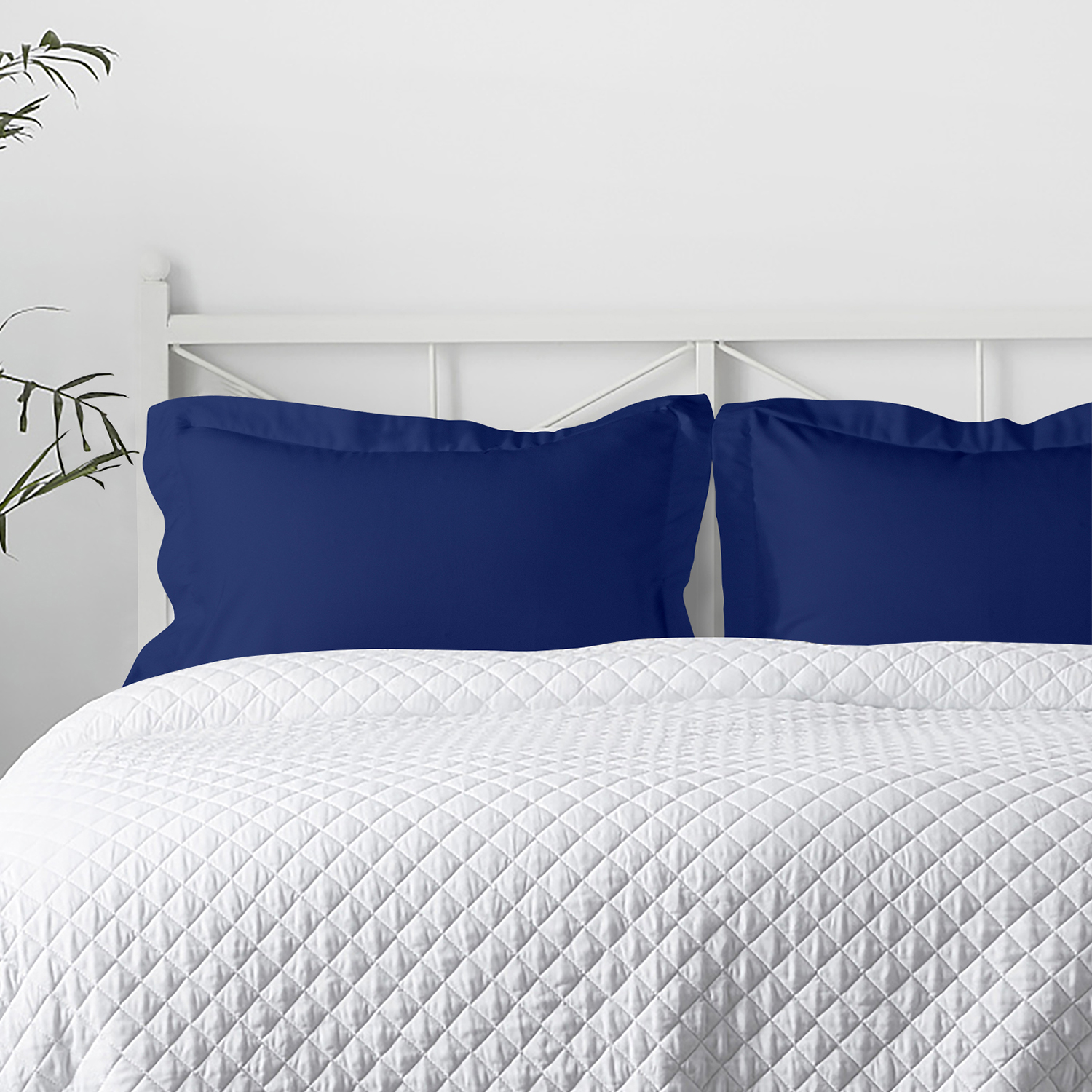 Seashell Romance Standard Sham, Standard Sham Multicolor