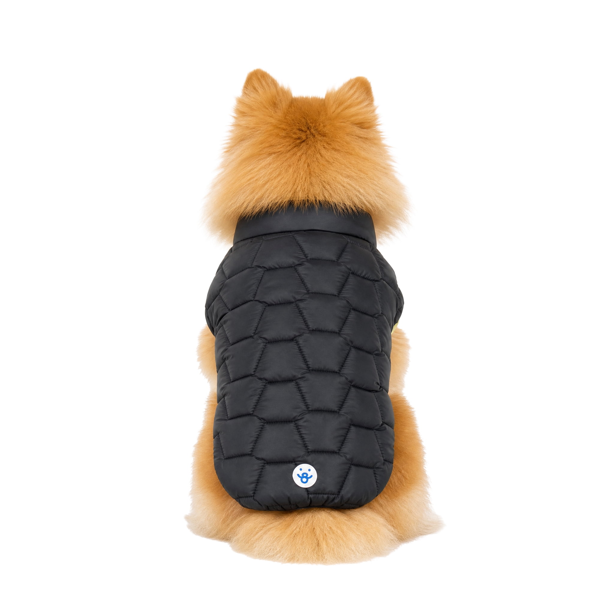 Oodles Quilted Fall Puffer Dog Jacket, Black, Small