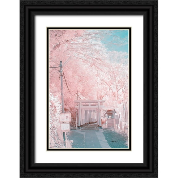 yuuui 11x14 Black Ornate Wood Framed with Double Matting Museum Art Print Titled - Infrared Photography