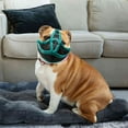 thumbnail image 5 of Dog Muzzle, Soft Mesh Covered Muzzles for Small Medium Large Dogs, Poisoned Bait Protection Muzzle with Adjustable Straps, Prevent Biting Chewing and Licking, 5 of 19