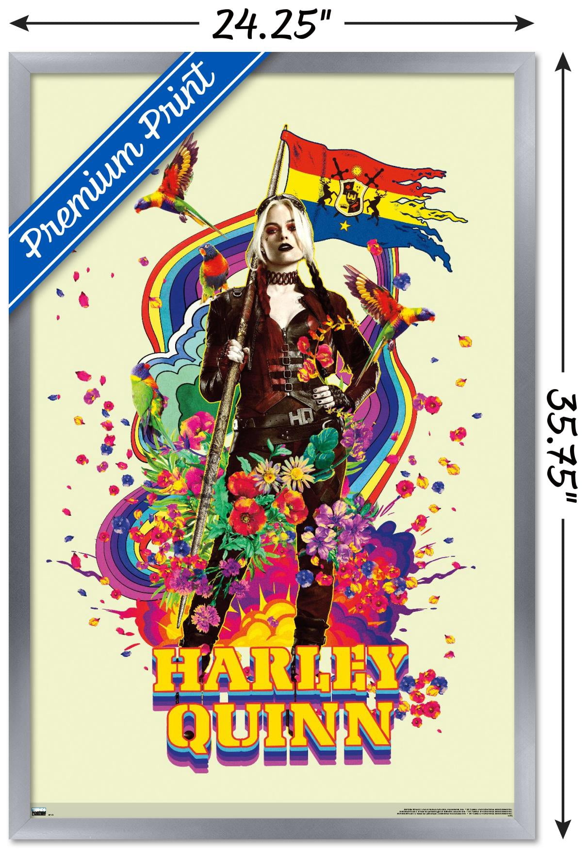 DC Comics Movie The Suicide Squad - Harley Quinn Wall Poster, 22.375" x 34", Framed