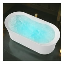 ANZZI Julia Series 67 in. Freestanding Acrylic Air and Whirlpool Bathtub with Touch Sensitive Control and Chroma Lights