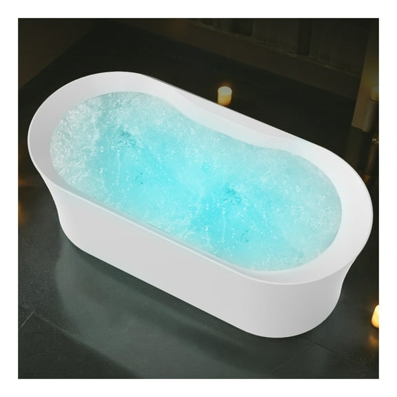 ANZZI Julia Series 67 in. Freestanding Acrylic Air and Whirlpool Bathtub with Touch Sensitive Control and Chroma Lights