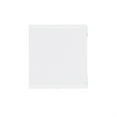 thumbnail image 4 of Linon Lane Two Cubby Open Back Storage Cabinet in White Wood, 4 of 15