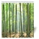thumbnail image 1 of ABPHQTO Arbol Cortina de Ducha Mañana en El Bosque Frescura Entorno Natural Mágico 160x180 cm, 1 of 3