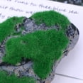 thumbnail image 3 of Greenadscape 1Ud Piedra Artificial Para Acuarios Con Ajuste De Cuerda, 3 of 7