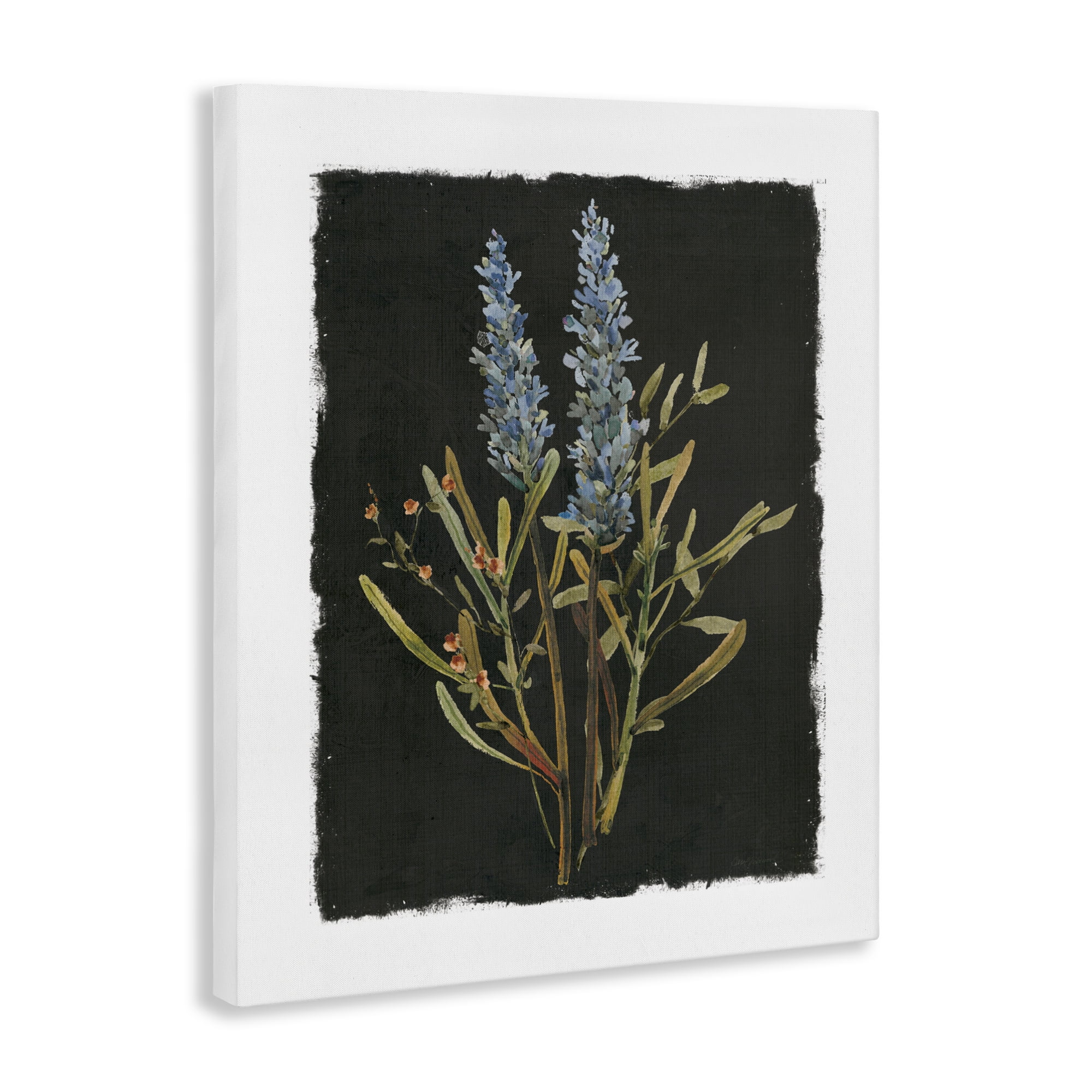 Stupell Industries Lavender Sprigs on Dark Background Canvas Wall Art, design by Carol Robinson