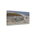 thumbnail image 2 of Wilhelm Goebel 'Passage Peregrine Falcon' Canvas Art, 2 of 3