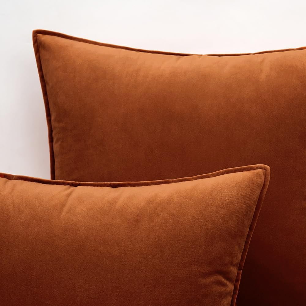 Cterwk 2 Pack Soft Velvet Square Throw Pillow Covers Square Cushion Case for Bed Couch Sofa Bench, 24 x 24 inch