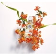 thumbnail image 2 of Fragrant Water Body Spray ROGER & GALLET Fleur D'Osmanthus 30mL, 2 of 4
