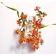 thumbnail image 2 of Spray corporal con agua aromática ROGER & GALLET Fleur D'Osmanthus 30 ml, 2 of 4