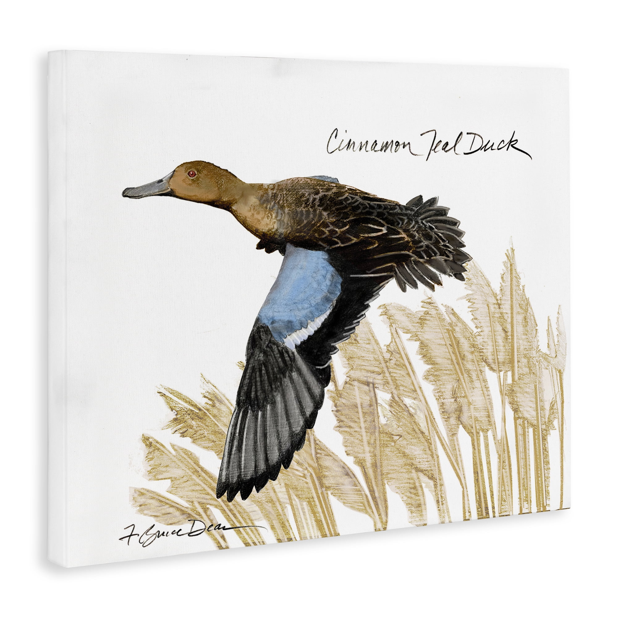 Stupell Industries Cinnamon Teal Duck Flying Animals & Insects Painting Gallery Wrapped Canvas Art Print Wall Art, 40 x 30