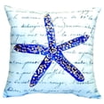 thumbnail image 3 of Blue Starfish No Cord Pillow 18x18, 3 of 3