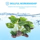 thumbnail image 2 of Plantas acuáticas para acuario, pieles artificiales para peces, madera flotante, decoración para pecera (verde), 2 of 6