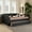Dark Gray, variant on Baxton Studio Delora Beige Upholstered Queen Size Daybed with Roll-Out Trundle Bed