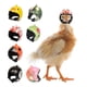 thumbnail image 1 of Casco de Pollo, Casco de Loro, Casco de protección para la Cabeza de pájaro, Sombrero para pájaros, Gorros, Disfraces, Accesorios para Patos, Aves de Corral, Gallinas, periquitos, 7 Piezas, 1 of 5
