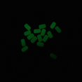 thumbnail image 4 of 100Pcs Luminous Beads Soft Plastic Fishing Beads Round Float Balls Light Glowing 4.7X6.2mm, 4 of 9