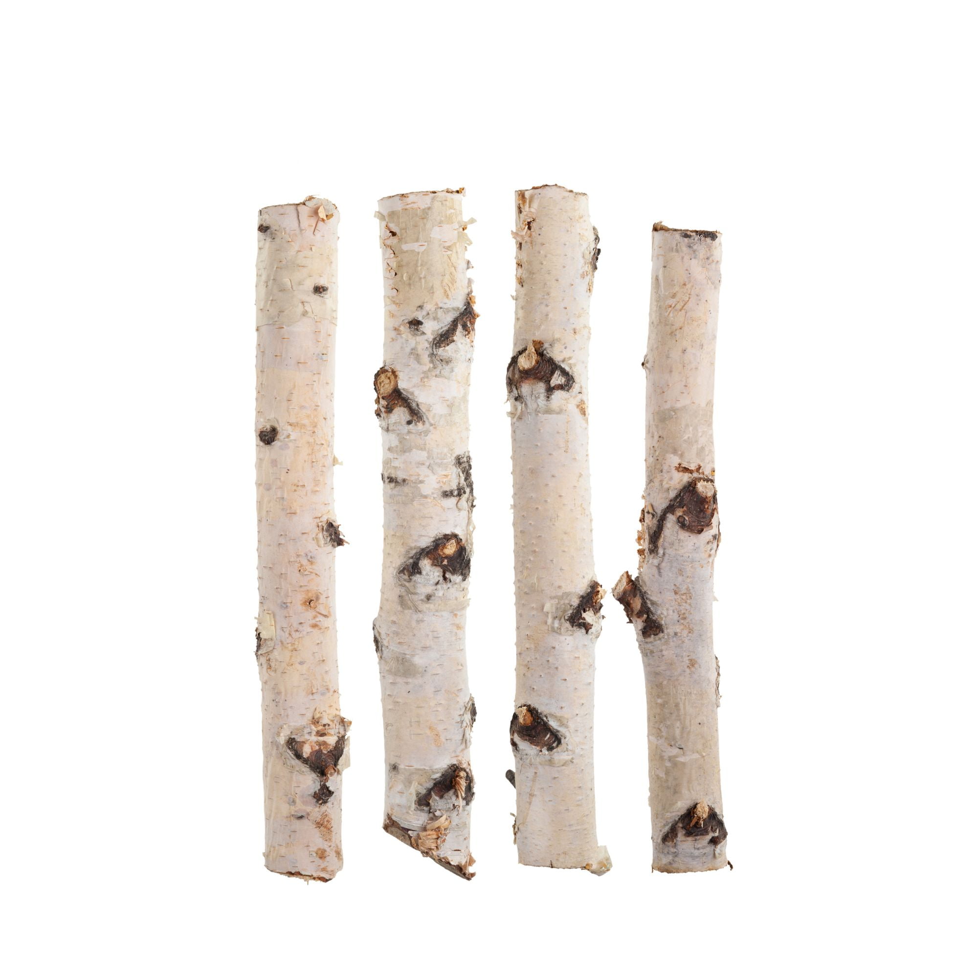 ProFlora Brown Birch Logs 16 - Pack of 3 Decoration 4ft 