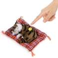 thumbnail image 3 of MUñeca de Gato de Simulación, Juguete de Gato Durmiente Con Sonido, Animal de Peluche de Gato y Negro para Niños, Juguete para decora de, 3 of 7